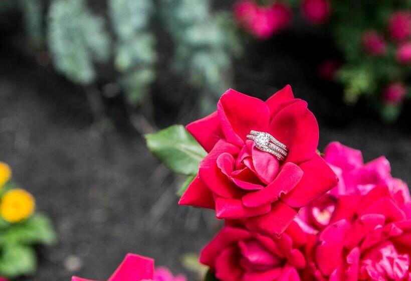 فندق The Manor On Front