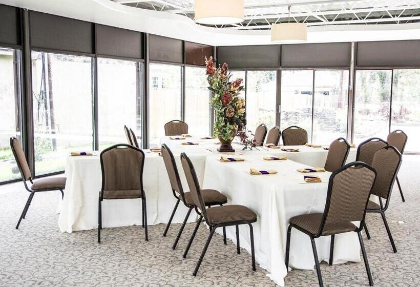 فندق The Manor On Front