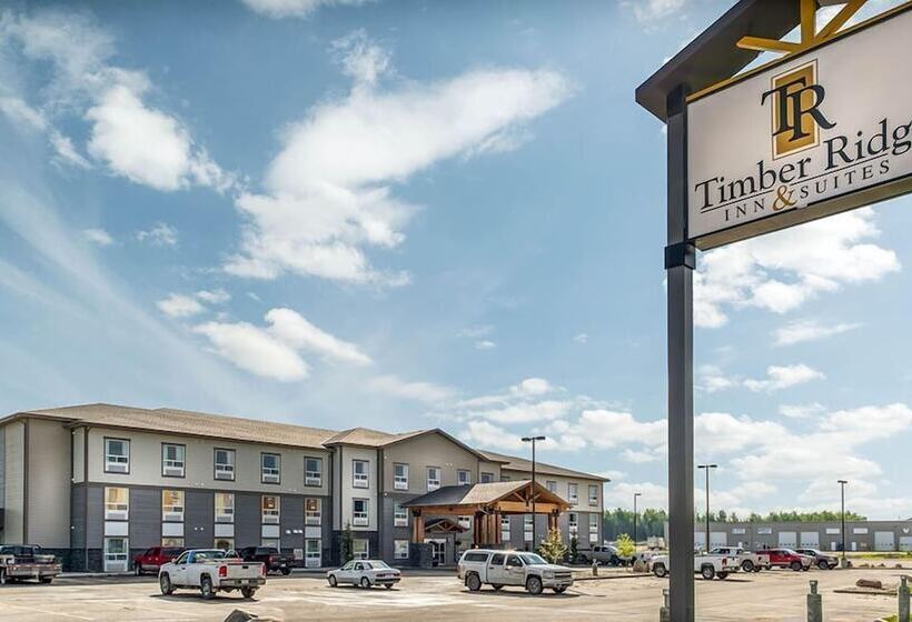ホテル Timber Ridge Inn And Suites