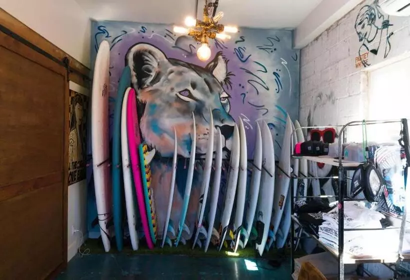 هتل House Of Trestles Hostel