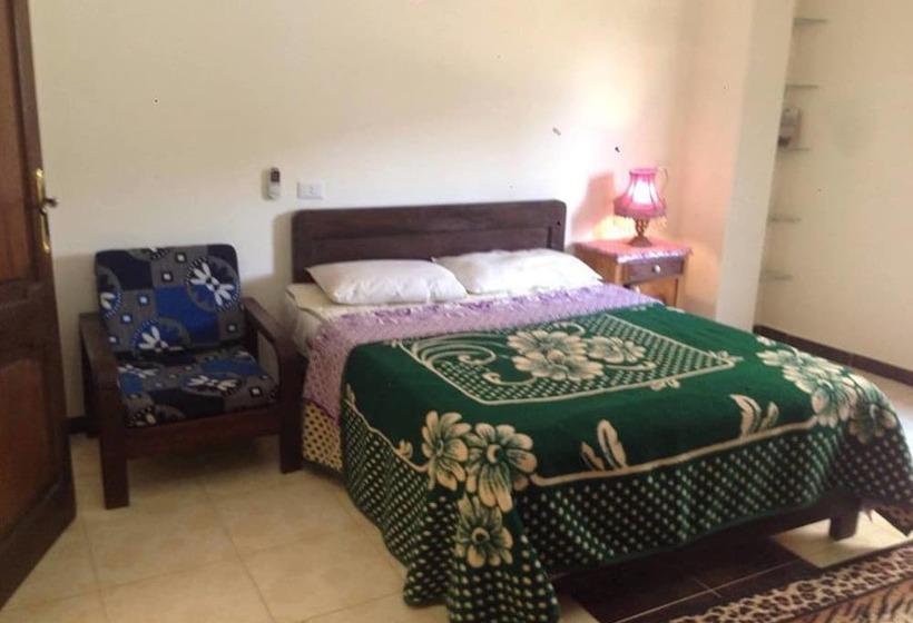 هتل Luxor Guest House