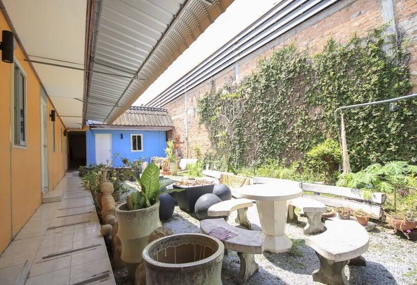 Hotel Phuket Backpacker Hostel