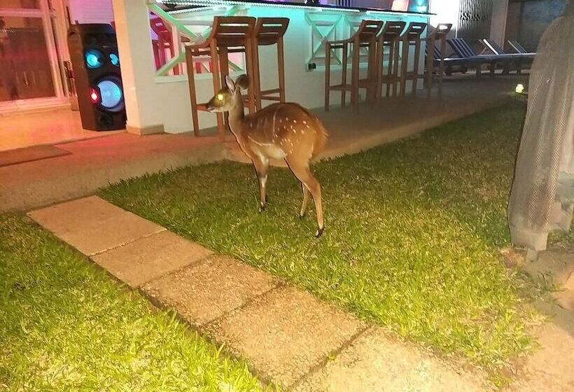 Отель Résidence Helios