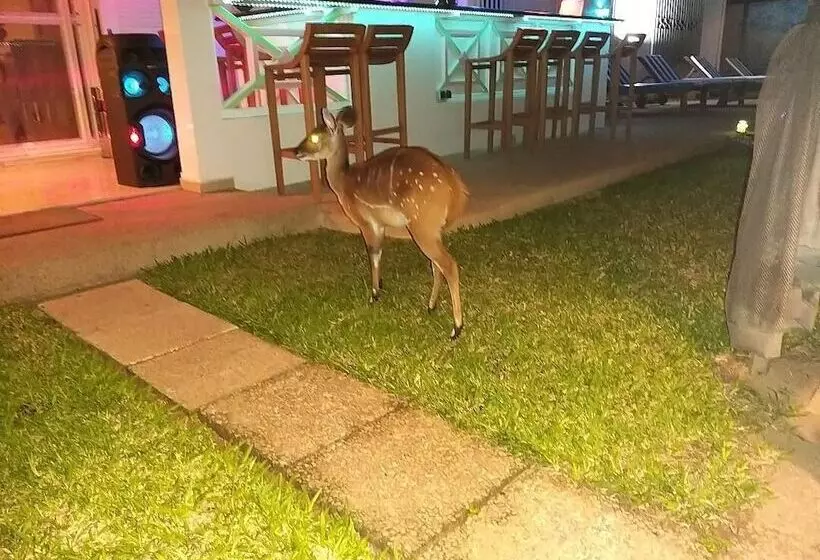 هتل Résidence Helios