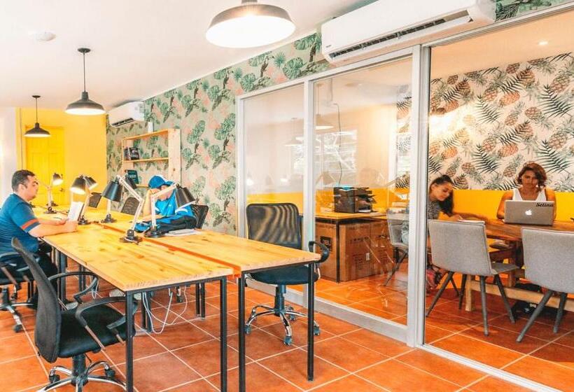 فندق Selina Jaco