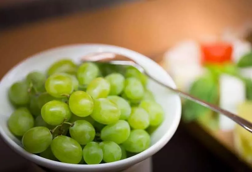 Hotelli Villa Abbazia  Liburnia