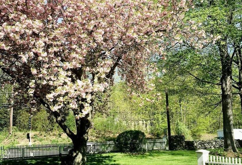 فندق Evergreen Bed & Breakfast