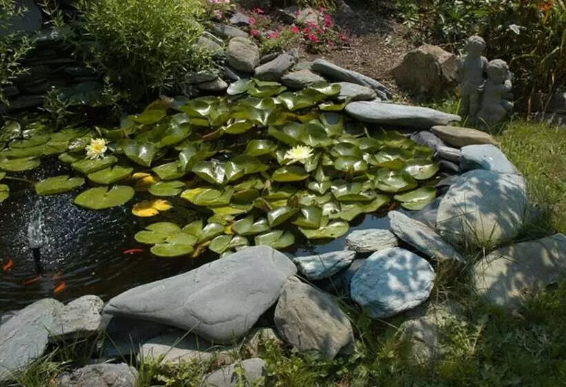 هتل Gardenview Bed And Breakfast