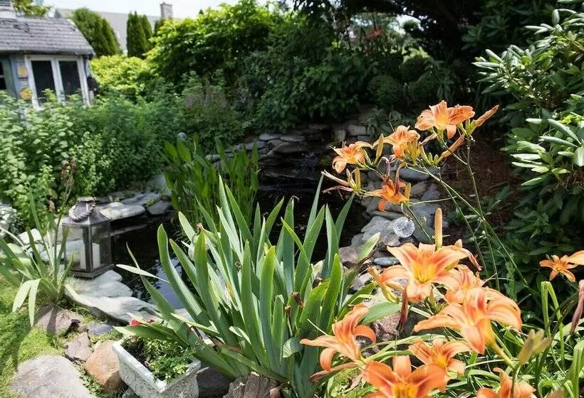 هتل Gardenview Bed And Breakfast