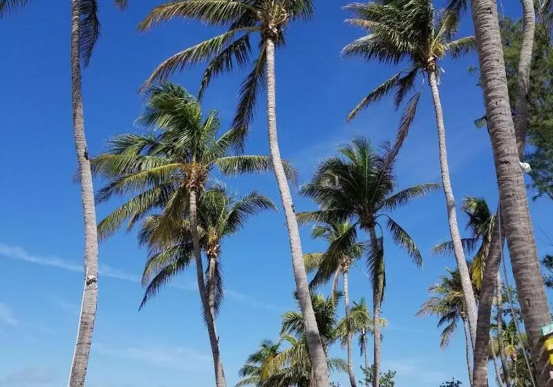 Hotelli La Jolla Resort