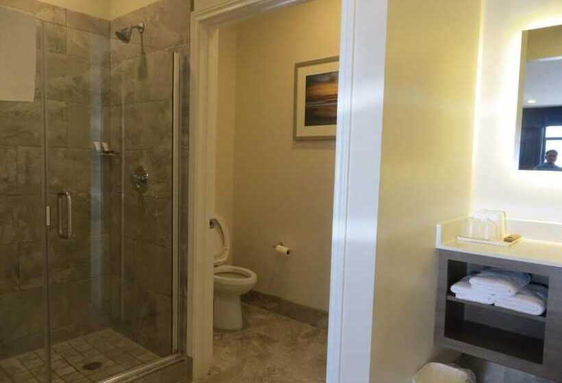 هتل Palace Inn Gulfgate