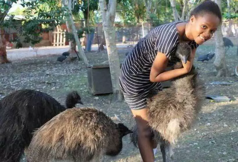 هتل Kiskeya Guest House