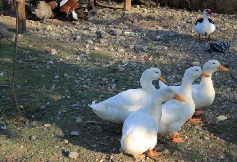 هتل Kiskeya Guest House