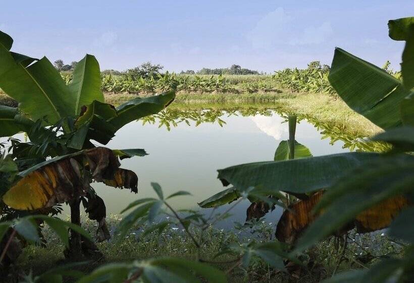 هتل Kiskeya Guest House