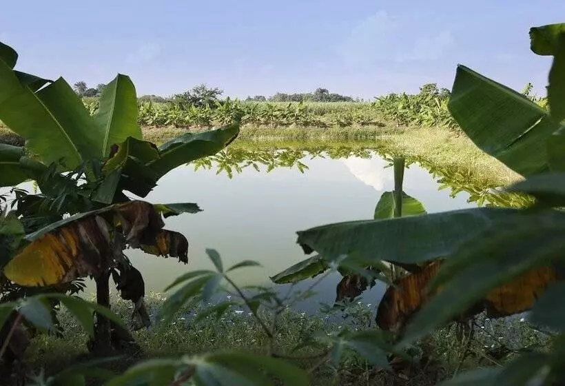 هتل Kiskeya Guest House