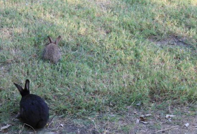 هتل Kiskeya Guest House