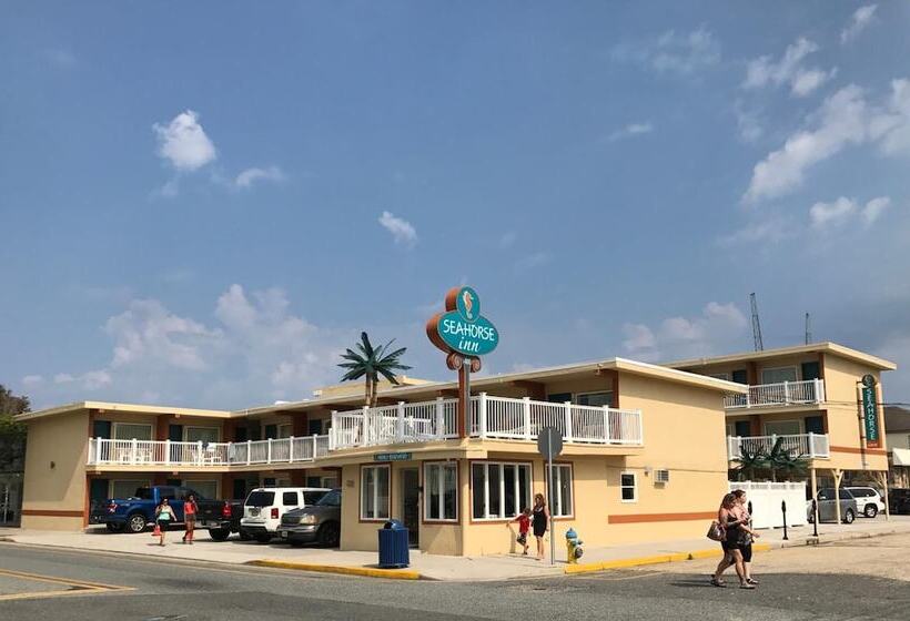 فندق Seahorse Inn