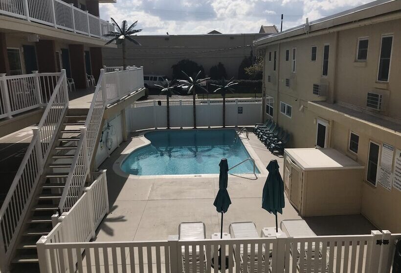 فندق Seahorse Inn