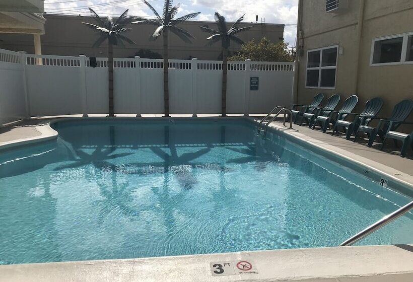 فندق Seahorse Inn