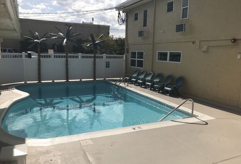 فندق Seahorse Inn