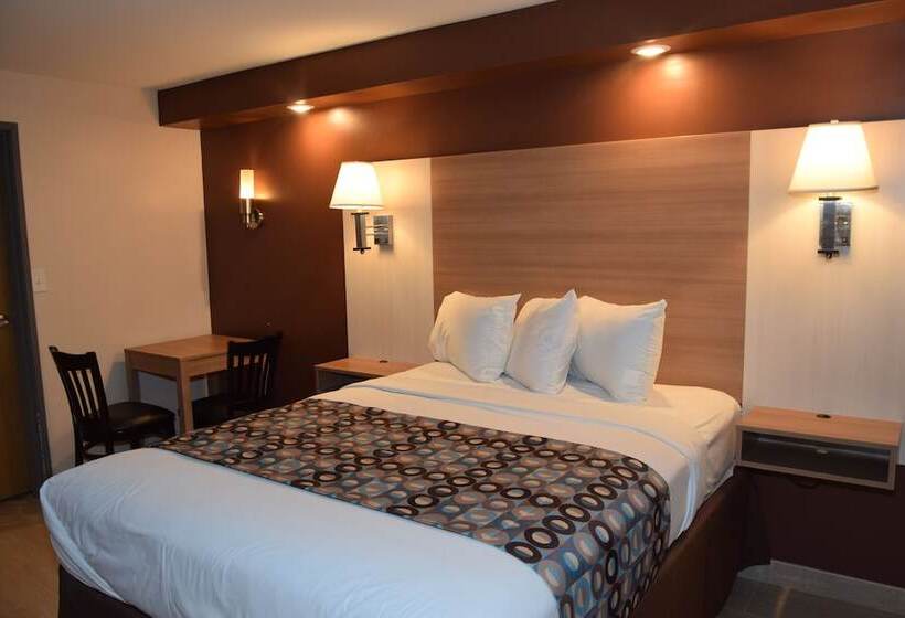 فندق Seahorse Inn