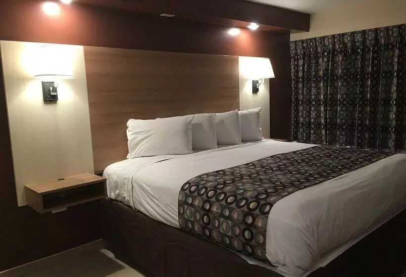 ホテル Seahorse Inn