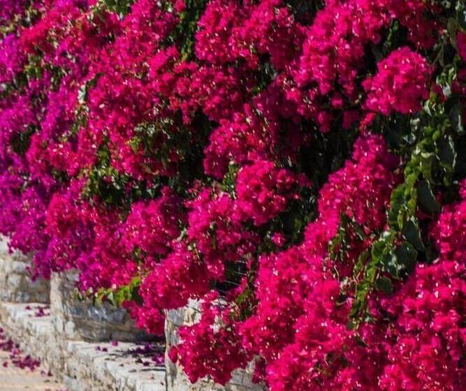 Niriides Hotel Apartments