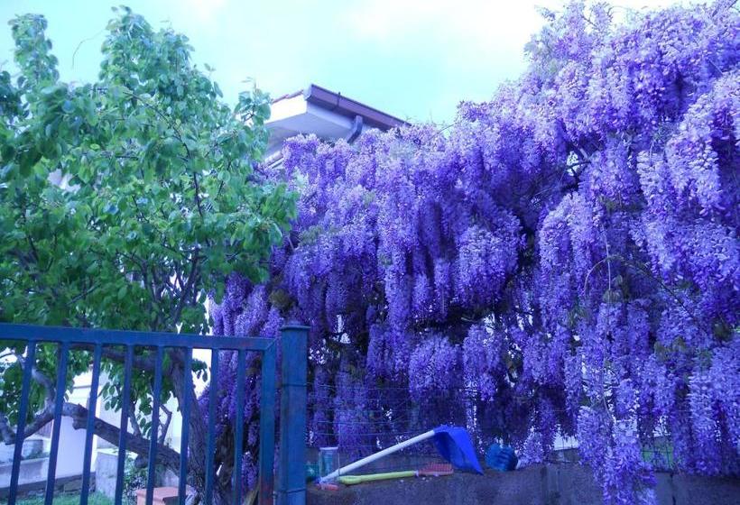 Hotel Agriturismo Raggio Di Sole