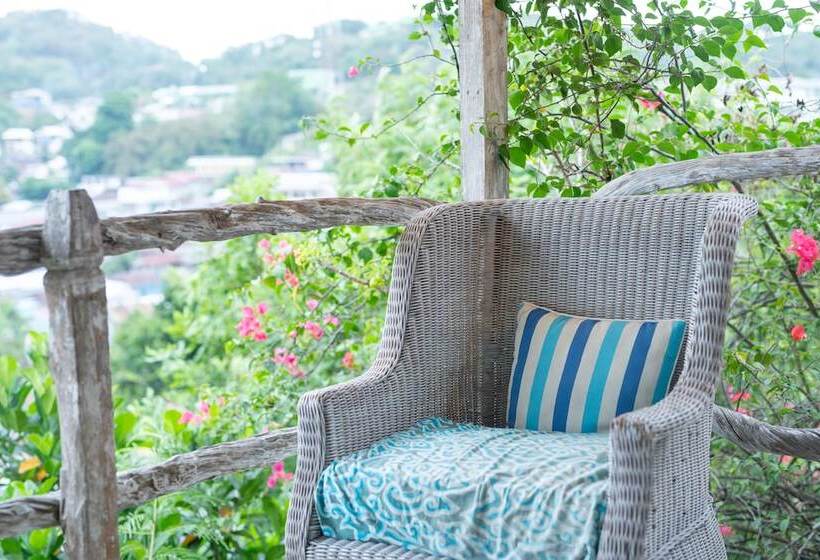 فندق Selini Hills