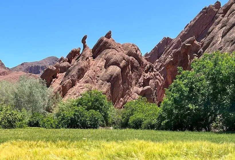 Hotelli Auberge Miguirne Chez Ali