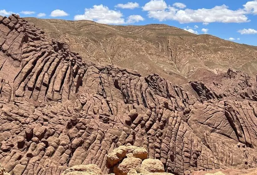 Hotelli Auberge Miguirne Chez Ali