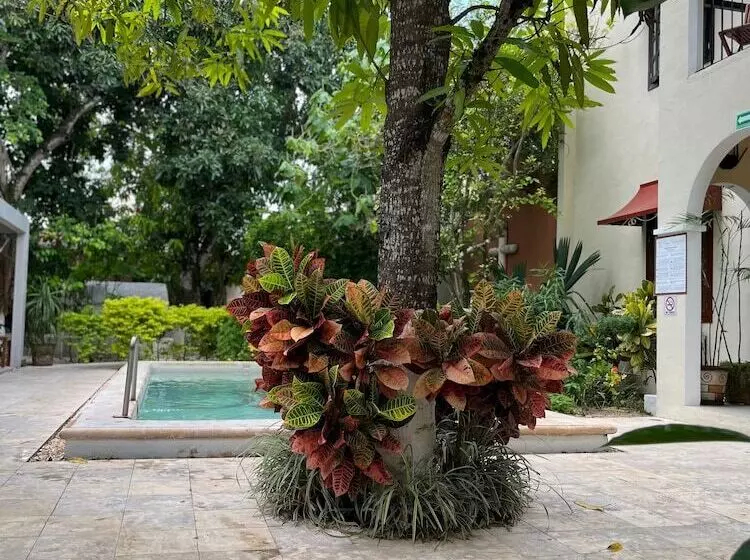ホテル Casa Valladolid Boutique