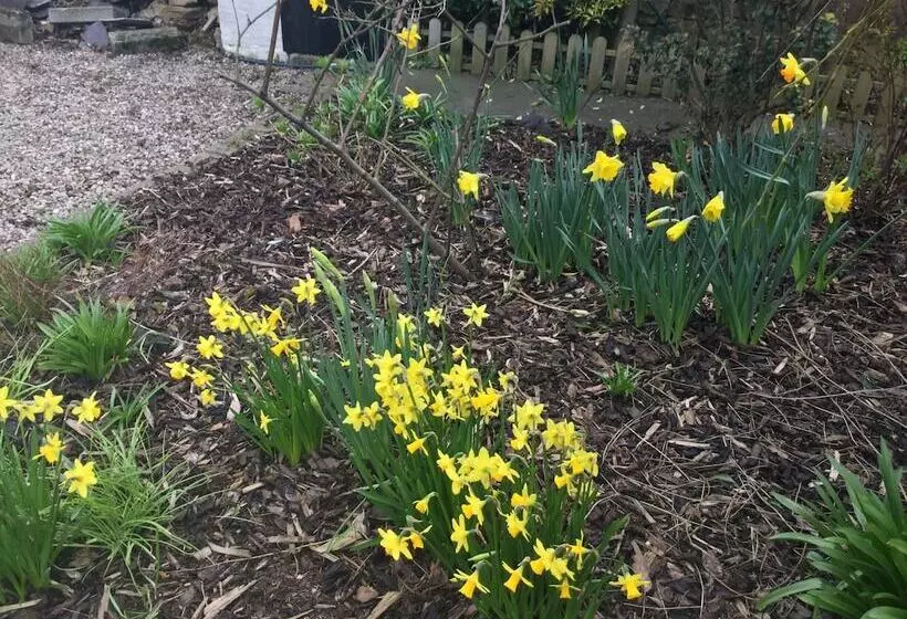 Hotelli Craggallan Guest House