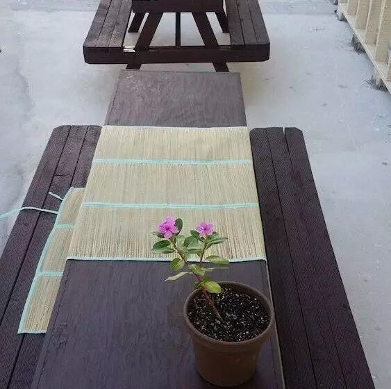 Hotel Daora Guesthouse