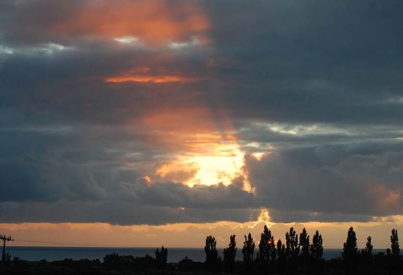 호텔 Dylans Country Cottages