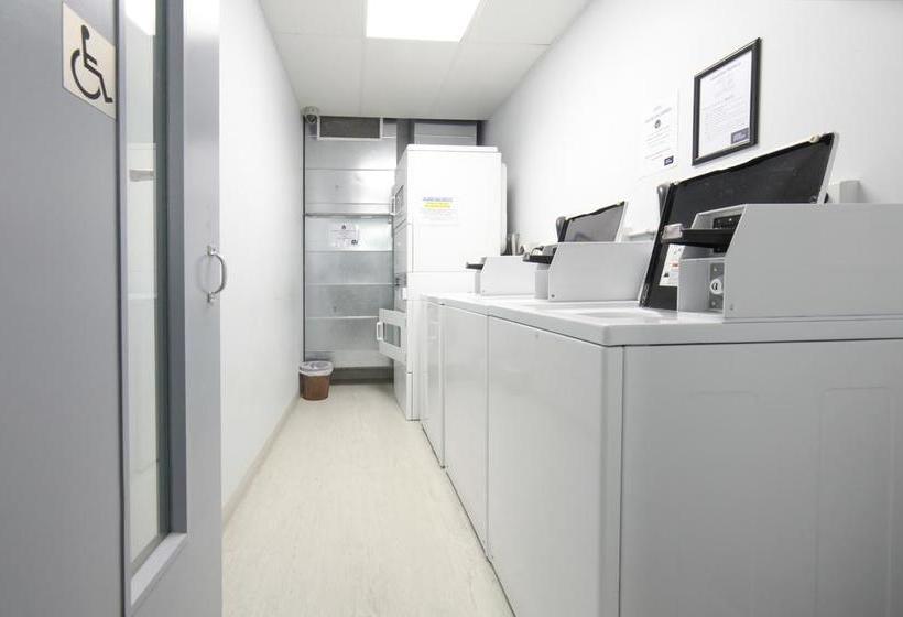 Отель Laneway Backpackers