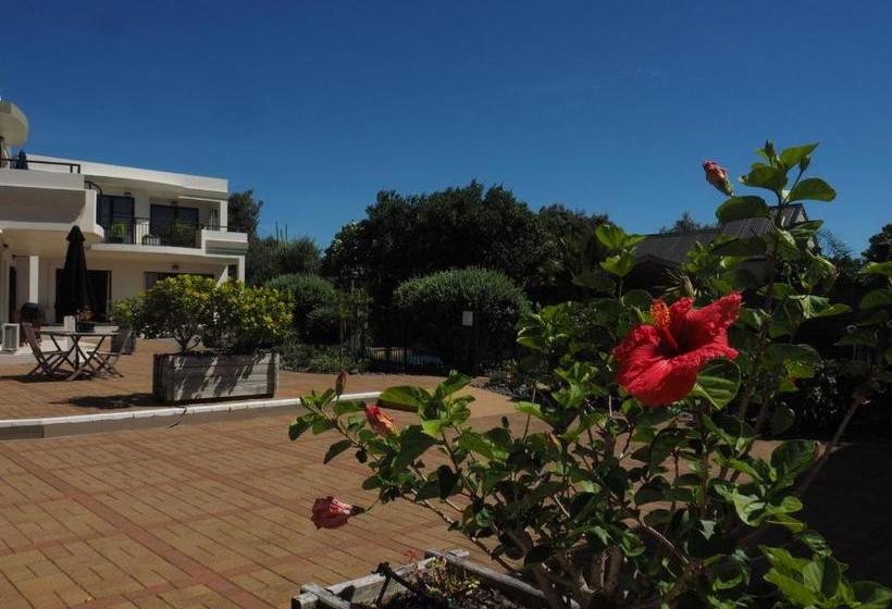 בית מלון כפרי Ocean Breeze Resort Pauanui