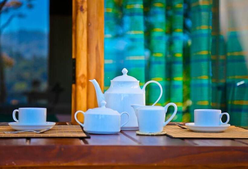 ホテル Ella Alpine Resort