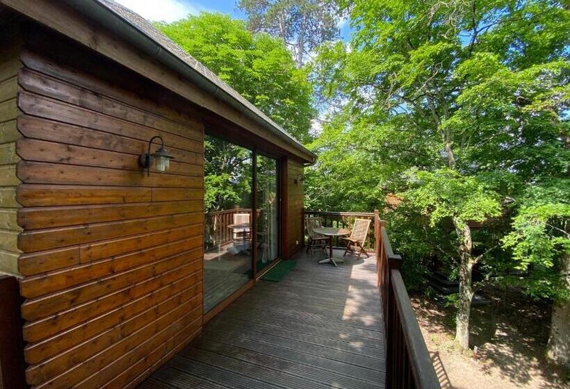 هتل Manoir Du Parc