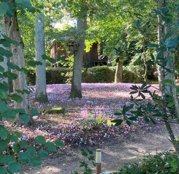 هتل Manoir Du Parc