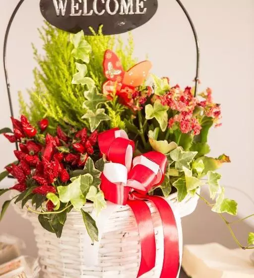 ホテル Pensiunea Simar