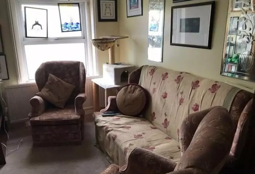 هتل The Little Tree Boutique B&b