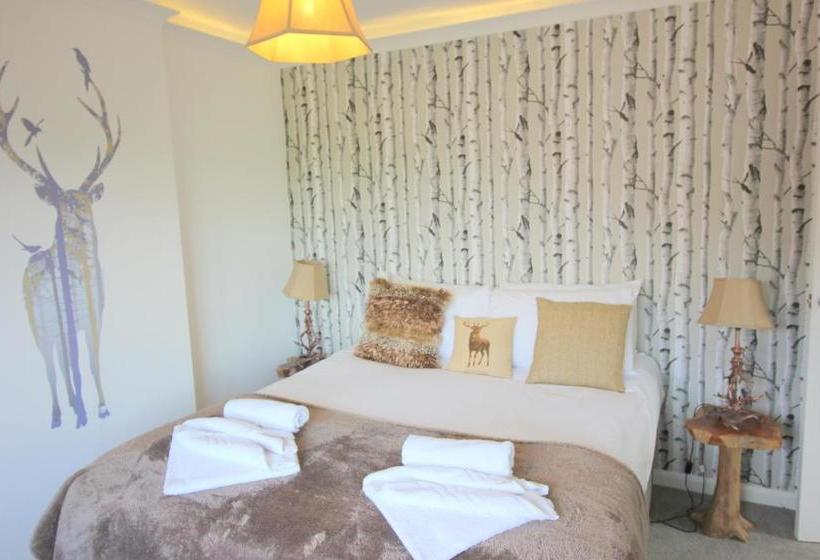 فندق The Never Land