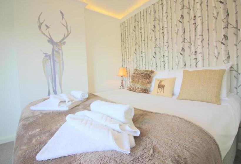 فندق The Never Land