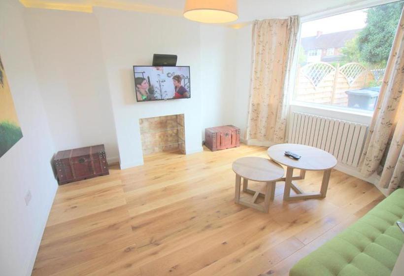 فندق The Never Land