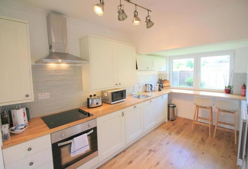 فندق The Never Land