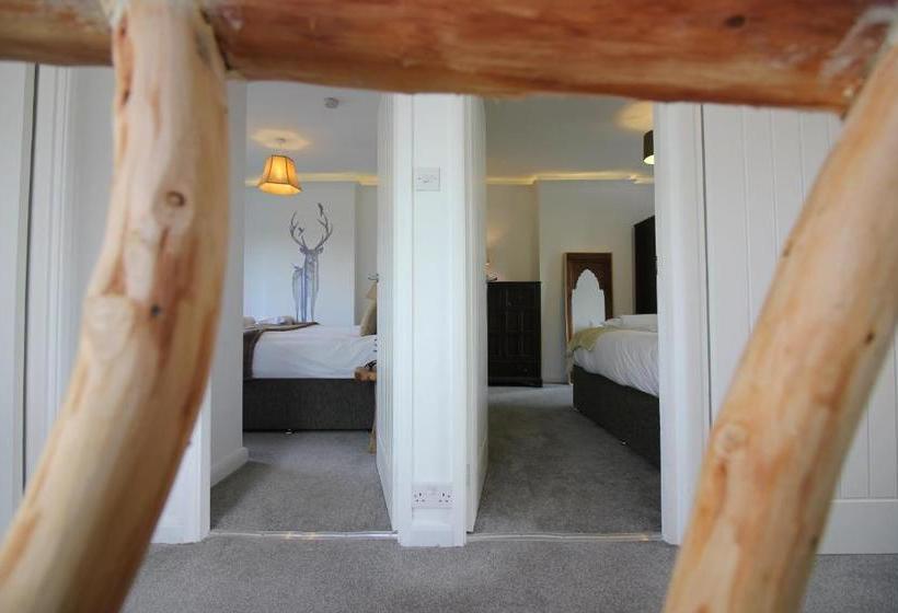 فندق The Never Land