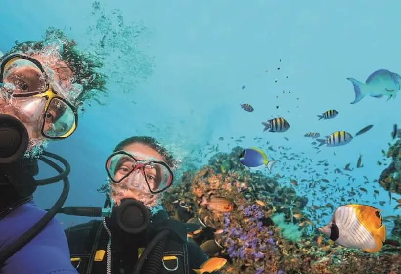 هتل Sunny Baška Residence By Valamar, Ex Zvonimir