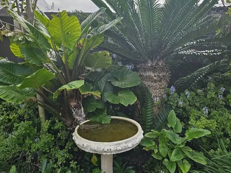 Hotelli Baruch Guesthouse On Lovell