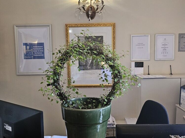 בית מלון כפרי Baruch Guesthouse On Lovell